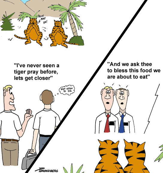 cartoon